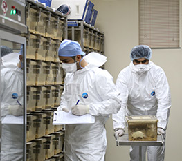 PNHRC Animal Housing Room Facility